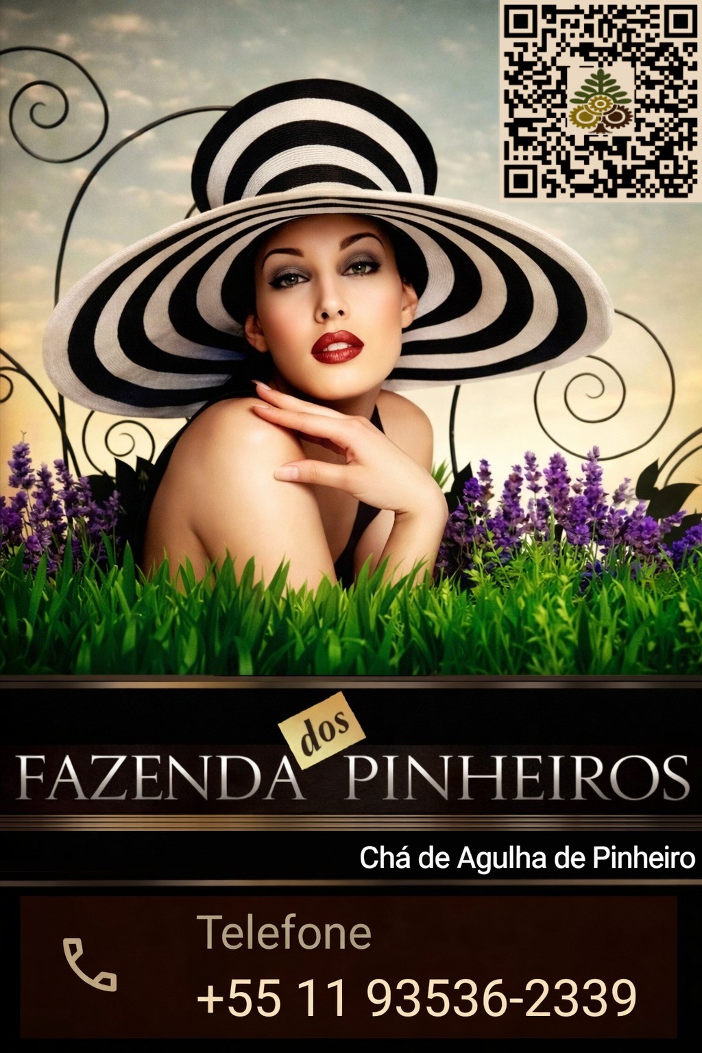 Cartão original da Fazenda dos Pinheiros — Chá de Agulha de Pinheiro, com QR code e telefone
